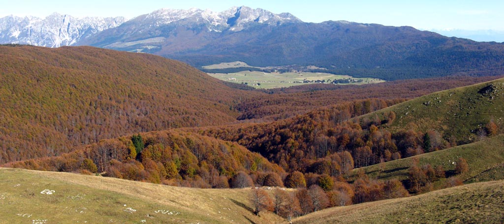 Storia di Venezia, Il Bosco del Cansiglio
