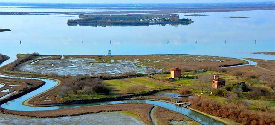 Isola di Salina nella Laguna Nord di Venezia
