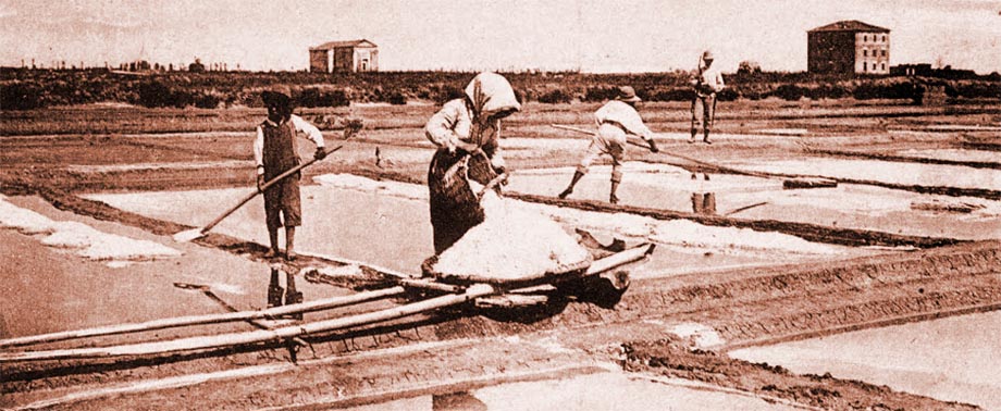 Il lavoro del sale