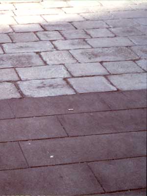 Saccheggio di Venezia, i masegni